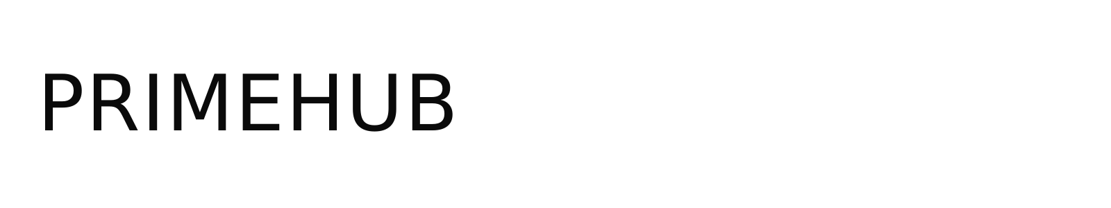 PRIMEHUB LLC